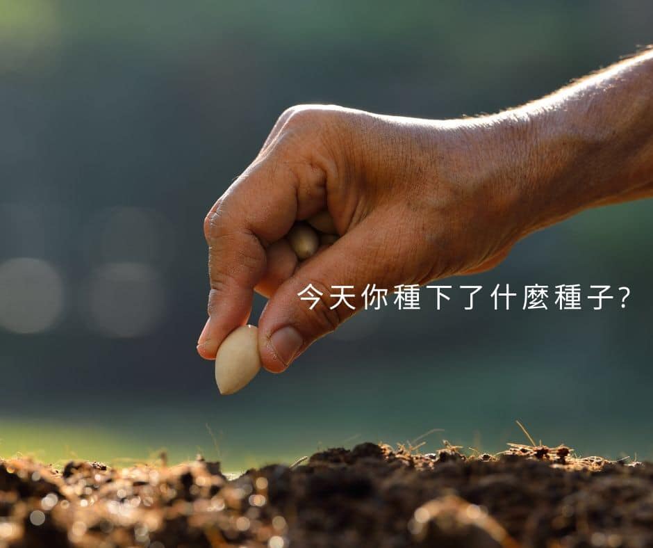 信念種子